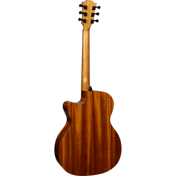 LAG T88ACE auditorium cutaway electro