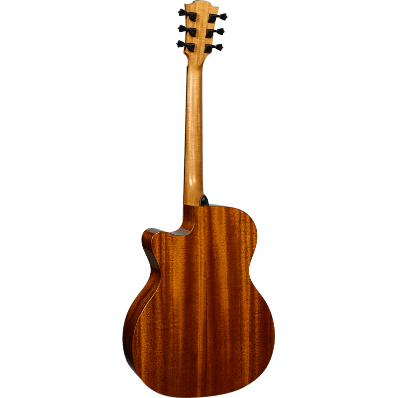 LAG T88ACE auditorium cutaway electro