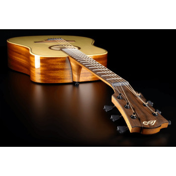 LAG T88D dreadnought