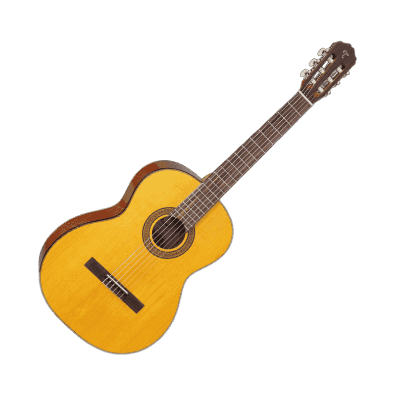 TAKAMINE GC3NAT gc3-nat natural
