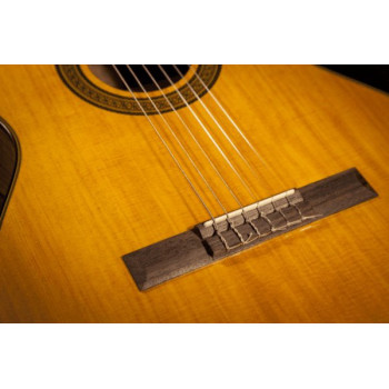 TAKAMINE GC3NAT gc3-nat natural