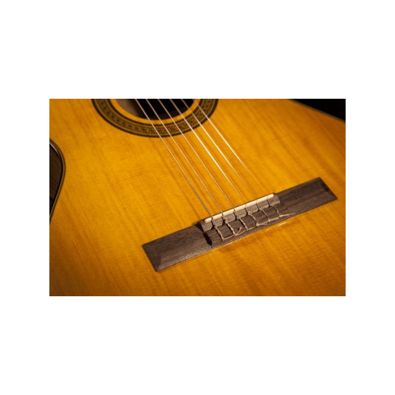 TAKAMINE GC3NAT gc3-nat natural