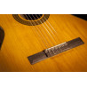 TAKAMINE GC3NAT gc3-nat natural