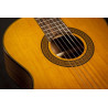 TAKAMINE GC3NAT gc3-nat natural