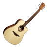 LAG T70DC-NAT dreadnought cutaway