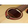 LAG T70DC-NAT dreadnought cutaway