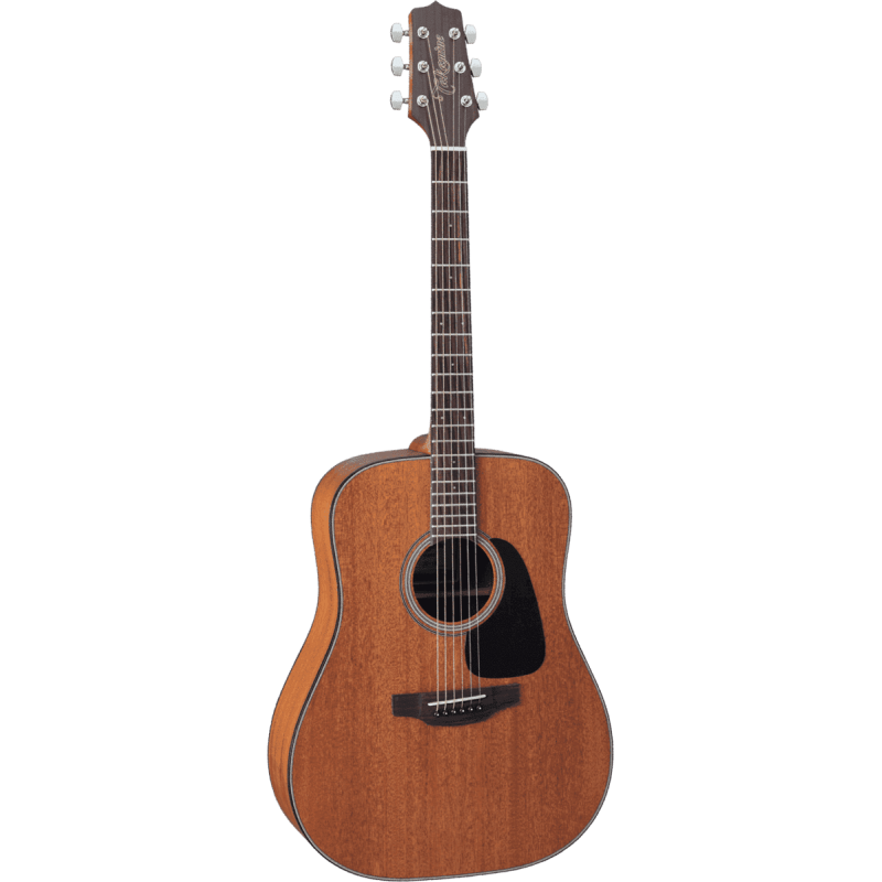 TAKAMINE GD11MNS gd11m-ns natural satin