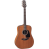 TAKAMINE GD11MNS gd11m-ns natural satin