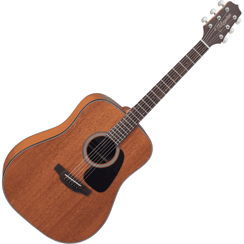 TAKAMINE GD11MNS gd11m-ns natural satin