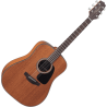 TAKAMINE GD11MNS gd11m-ns natural satin