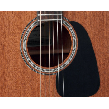TAKAMINE GD11MNS gd11m-ns natural satin