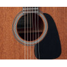 TAKAMINE GD11MNS gd11m-ns natural satin