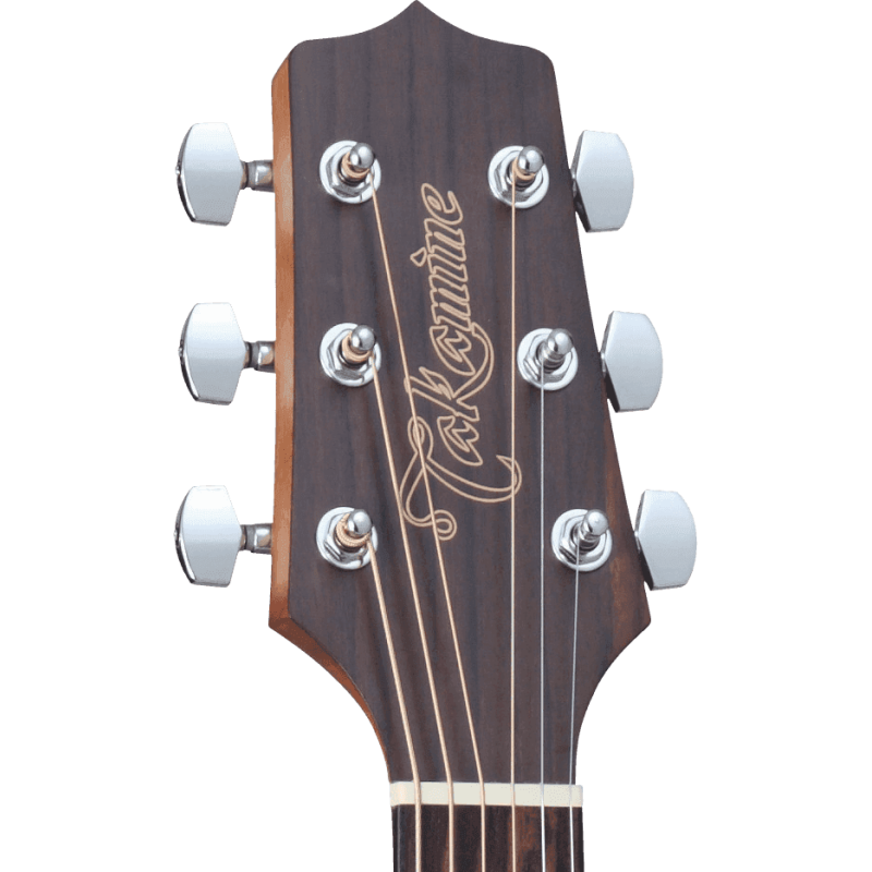 TAKAMINE GD11MNS gd11m-ns natural satin