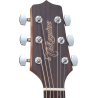TAKAMINE GD11MNS gd11m-ns natural satin