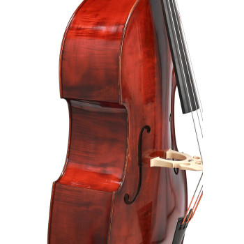 GEWA Contrebasse Meister Rubner modèle n°68 S 4/4 5 cordes