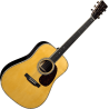 MARTIN CS-D-3640024 custom shop d epicéa adirondack/palissandre