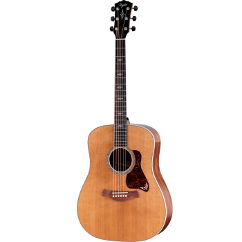 TAYLOR Gold Label 810e Honduran Rosewood Natural