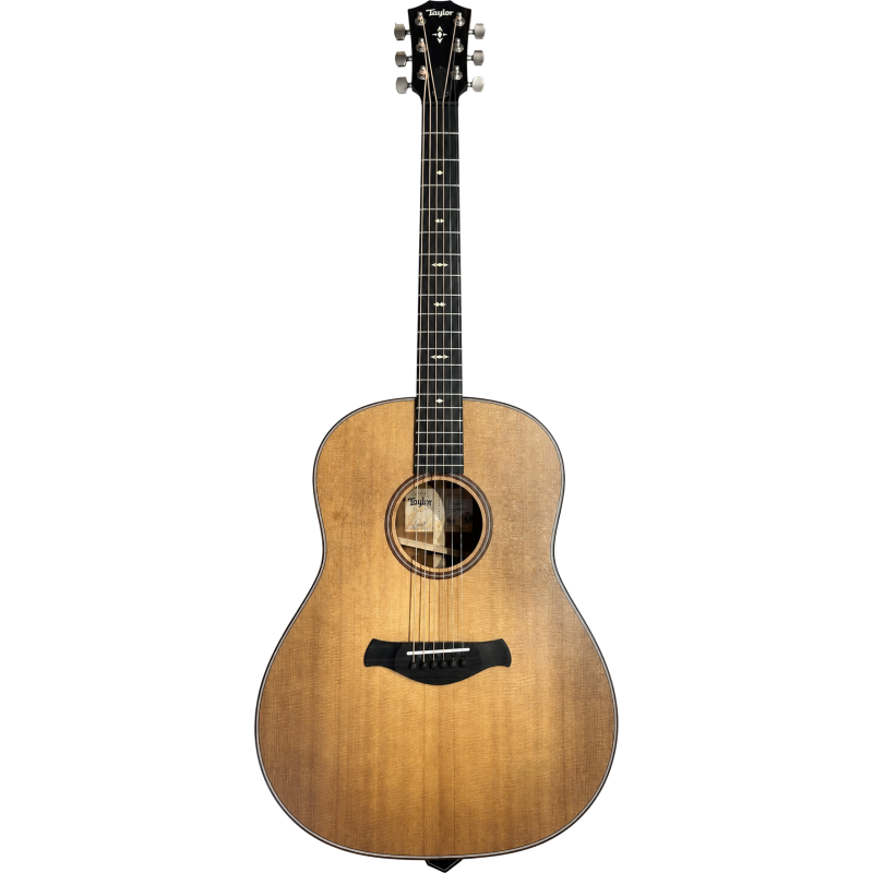 TAYLOR Builder's Edition 517e WHB - STOCK B