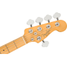 FENDER American Professional II Jazz Bass V touche erable Roasted Pine