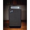 AGUILAR TH210COMBO combo th210 300w 2x10