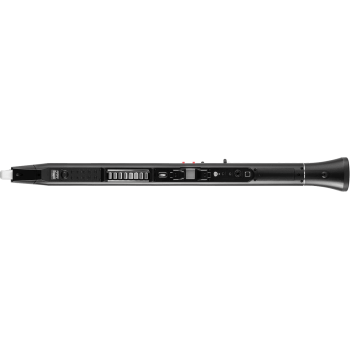 AKAI EWI-SOLO instrument à vent électronique haut-parleur module son usb