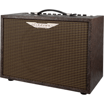 ASHDOWN WOODSMAN-CLASSIC ampli acoustique 40 watts
