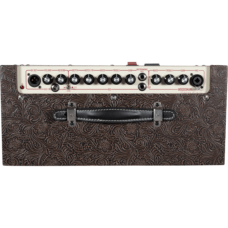 ASHDOWN WOODSMAN-CLASSIC ampli acoustique 40 watts