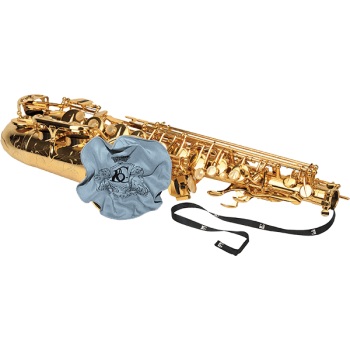 BG A30T écouvillon avec mousse saxo ténor