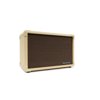 BLACKSTAR acoustic core 30