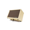 BLACKSTAR acoustic core 30