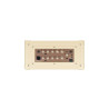 BLACKSTAR acoustic core 30