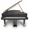 BOSENDORFER 290 Noir Laque