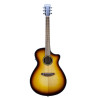 BREEDLOVE DSSO21CEED2 breedlove discovery s concerto ce edge - Déstockage
