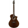 BREEDLOVE LGC42CE breedlove legacy concert, cw lr baggs
