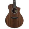 BREEDLOVE LGC42CE breedlove legacy concert, cw lr baggs