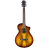 BREEDLOVE PESI66CETE breedlove pursuit ex s concertina tiger - Déstockage