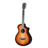 BREEDLOVE PRI42CEED breedlove premier concertina ce