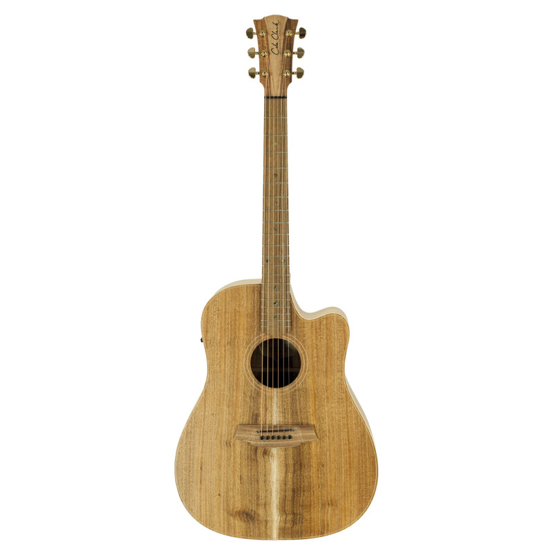 COLE CLARK FL2EC-BLBL guitare cole clark fl2ec, etui