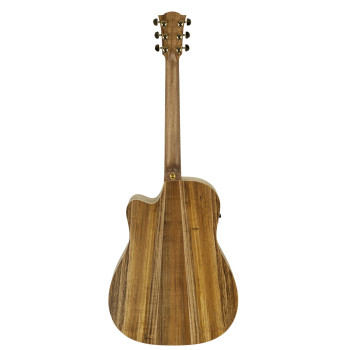 COLE CLARK FL2EC-BLBL guitare cole clark fl2ec, etui