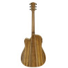 COLE CLARK FL2EC-BLBL guitare cole clark fl2ec, etui