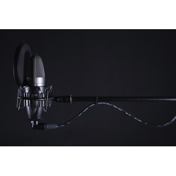 CORDIAL CPM2.5FRM câble micro avec xlr fem. coudée 2,5 m