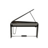 DEXIBELL VIVOH10MGBKP piano numerique dexibell vivo h10mgbkp