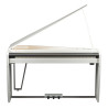 DEXIBELL VIVOH10MGWHP piano numerique dexibell vivo h10mgwhp