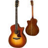 EASTMAN AC522CE-GB Goldburst