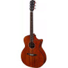 EASTMAN PCH1-GACE