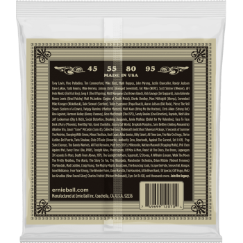 ERNIE BALL 2070 earthwood basse acoustique 45-95