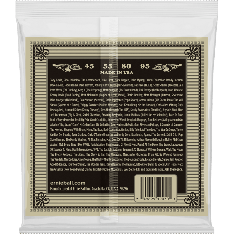 ERNIE BALL 2070 earthwood basse acoustique 45-95