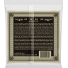ERNIE BALL 2070 earthwood basse acoustique 45-95