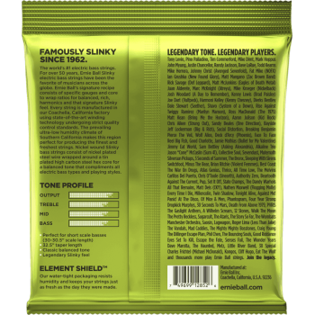 ERNIE BALL 2852 slinky nickel wound regular slinky short scale 45-105