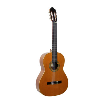 ESTEVE 15441BU guitare esteve mod.1 f/e bubinga